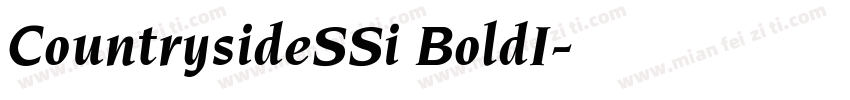 CountrysideSSi BoldI字体转换